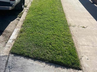 Ron B.'s lawn care services service result