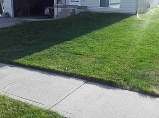 Sandra R.'s lawn maintenance service result