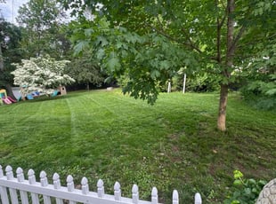 Ethel S.'s lawn service service result