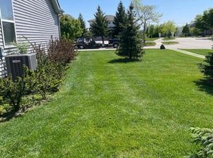 Reggie C.'s grass cutting service result
