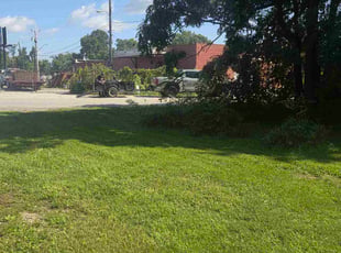 Sam C.'s lawn care service result