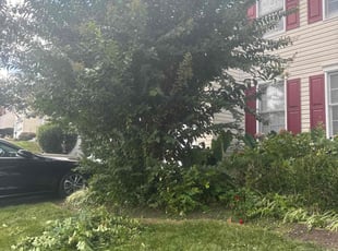 Kyle H.'s lawn care service result