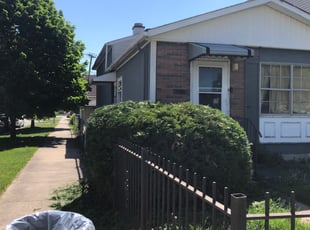 Megan T.'s Bush Trimming service result