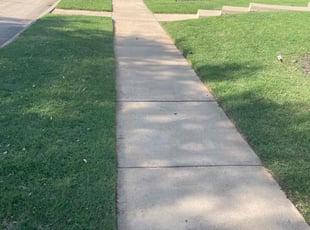 Wendy G.'s grass cutting service result