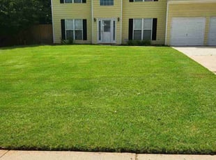 Ariel H.'s lawn care services service result