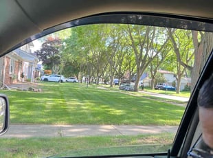 Janet C.'s grass maintenance service result