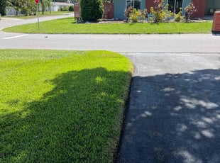 Kashif S.'s grass maintenance service result