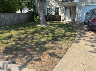Kearon T.'s turf maintenance service result
