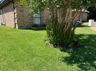 Michelle W.'s lawn care service result