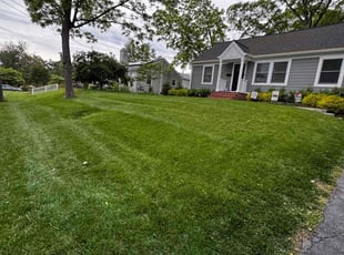 Linda T.'s landscaping service result