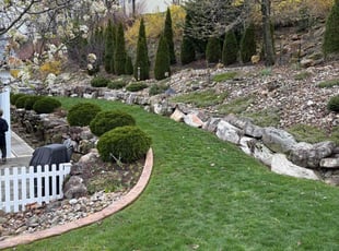 Ruben Z.'s turf care service result
