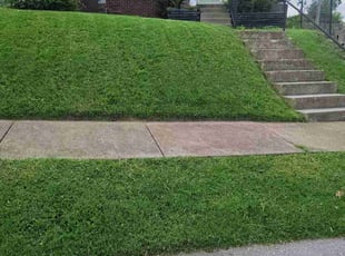 Mya W.'s turf maintenance service result