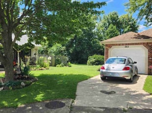 Lisa L.'s turf maintenance service result