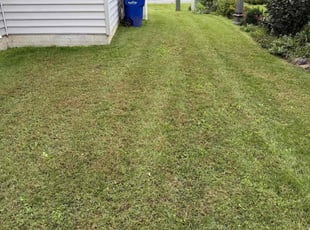 Kat L.'s lawn care services service result