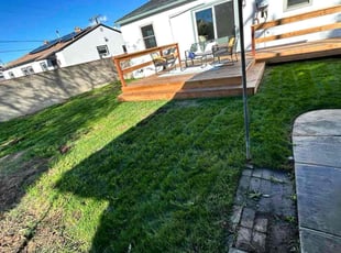 Mary B.'s grass cutting service result