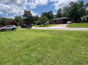 David N.'s turf maintenance service result
