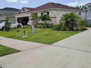 Thomas E.'s lawn service service result