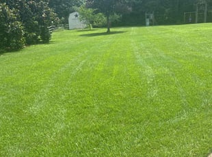 Ebony T.'s lawn maintenance service result