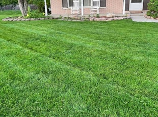 Wendy S.'s grass maintenance service result