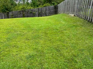 Stephen R.'s lawn service service result