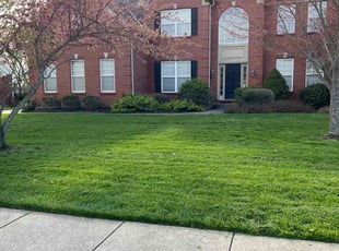 Stephen W.'s lawn care service result
