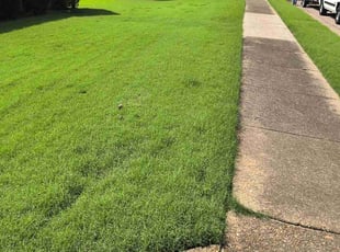 Jason J.'s lawn care services service result