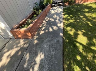 Sandee N.'s lawn service service result