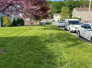 Jen B.'s lawn service service result