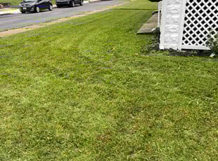 Dion F.'s lawn care service result