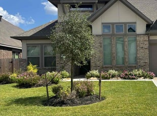 Becky A.'s turf care service result