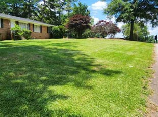 Sacoyia W.'s lawn maintenance service result