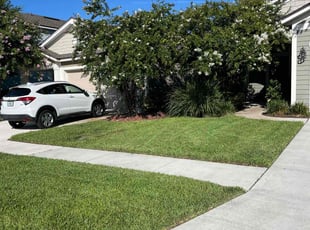 James S.'s turf care service result