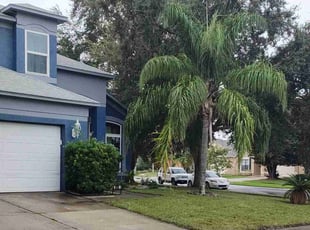 Jeff R.'s turf maintenance service result