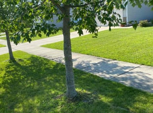 Christopher W.'s turf care service result