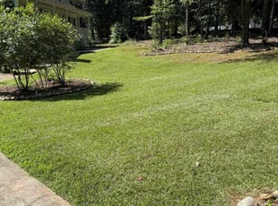 Tonja J.'s lawn service service result