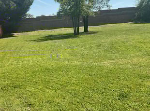 Mark S.'s grass maintenance service result