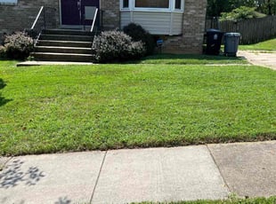 Leander H.'s lawn service service result