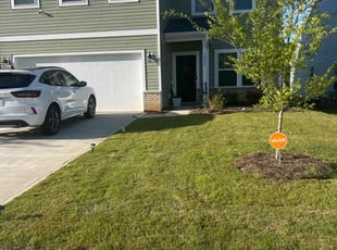 Moe H.'s turf maintenance service result