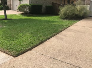 Joshua B.'s grass cutting service result