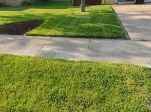 Paul S.'s lawn service service result