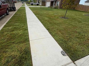 Cecil S.'s turf care service result