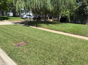 Edward K.'s turf maintenance service result