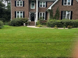 Rachel C.'s grass cutting service result