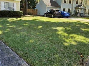 Danielle D.'s lawn care service result