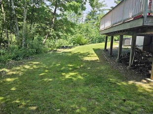 Natalie T F.'s grass cutting service result