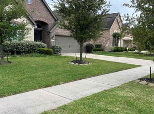 Phillip A.'s lawn care service result
