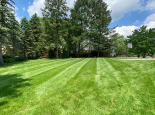 Joshua S.'s lawn care service result