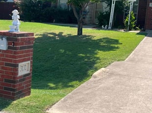 Stacy B.'s yard service service result