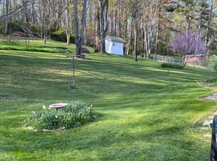 Darren D.'s grass cutting service result