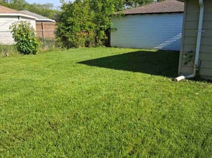 Freda L.'s lawn maintenance service result